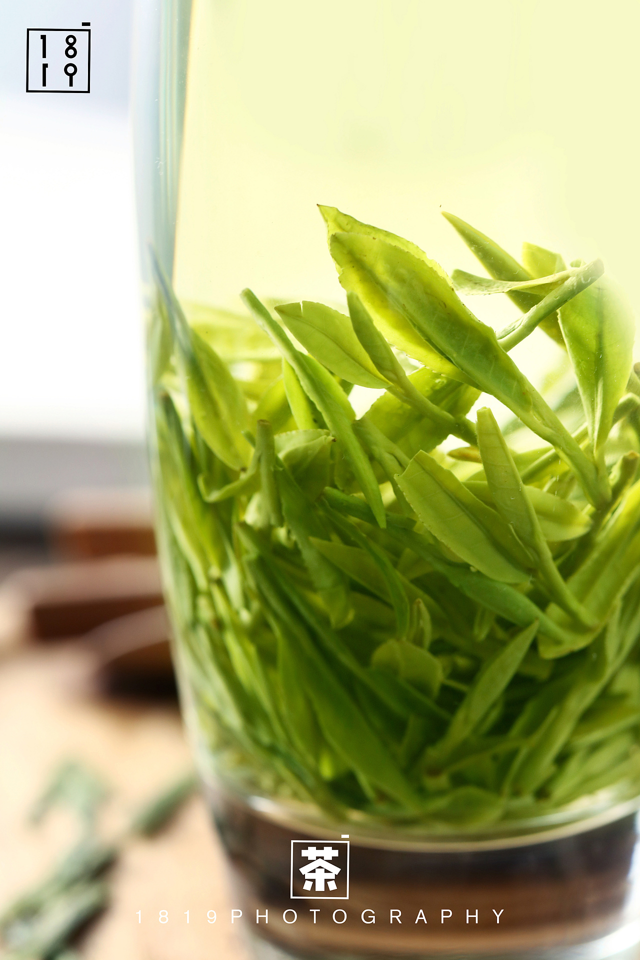 绿意澄明 用镜头捕捉一杯茶的诗意与呼吸